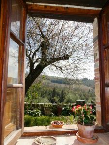 The view from the kitchen in our cottage to rent in Castellina in Chianti, Il Forno
